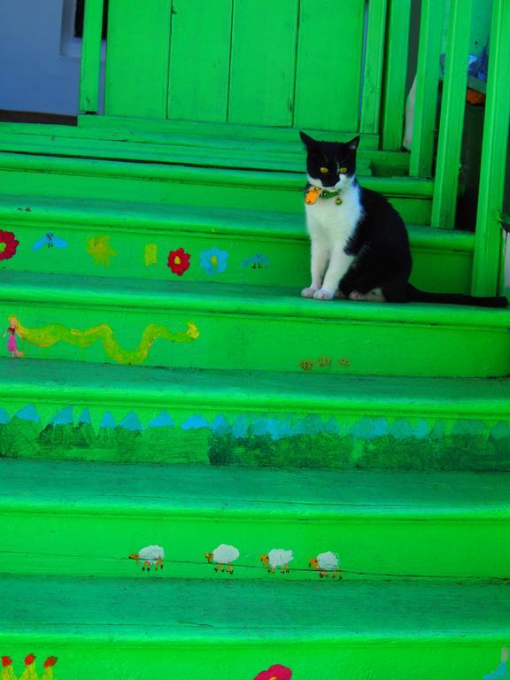 Green Stairs Guest House 트빌리시 외부 사진