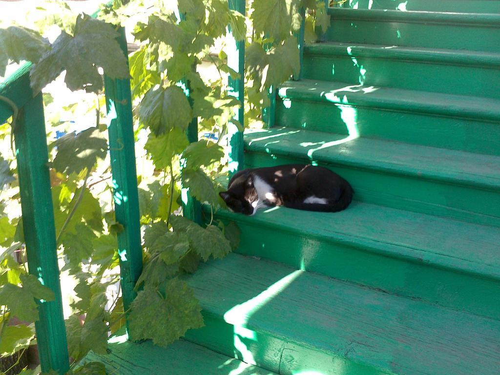Green Stairs Guest House 트빌리시 외부 사진