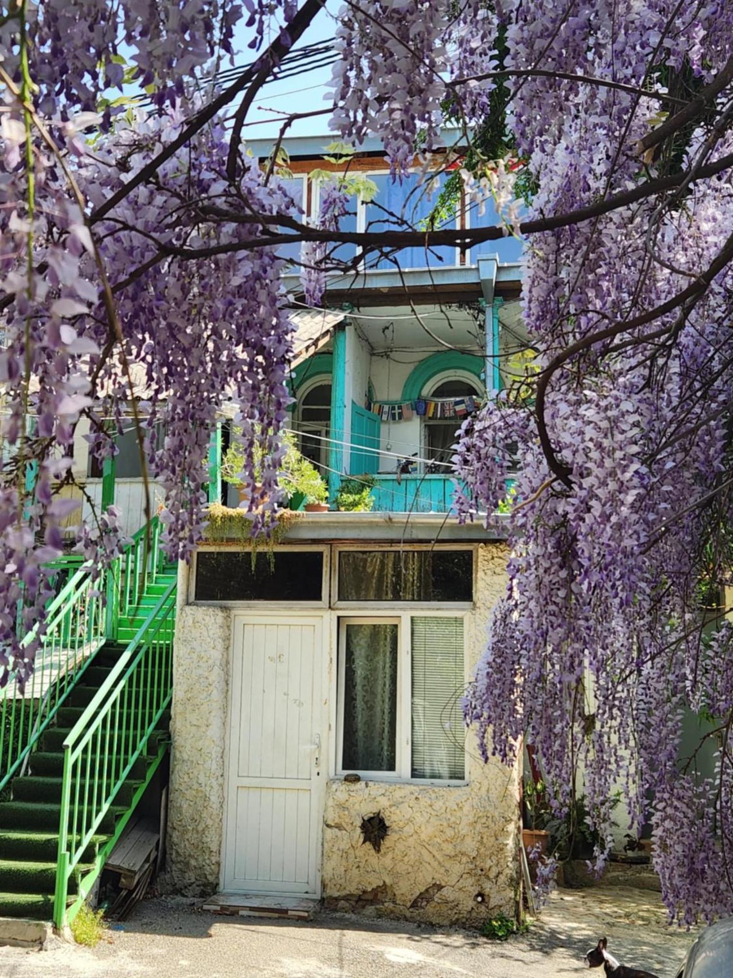Green Stairs Guest House 트빌리시 외부 사진