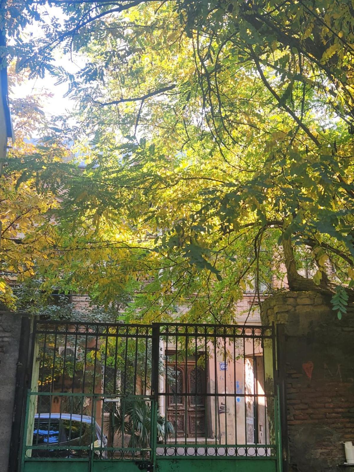 Green Stairs Guest House 트빌리시 외부 사진