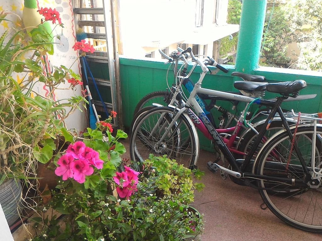Green Stairs Guest House 트빌리시 외부 사진