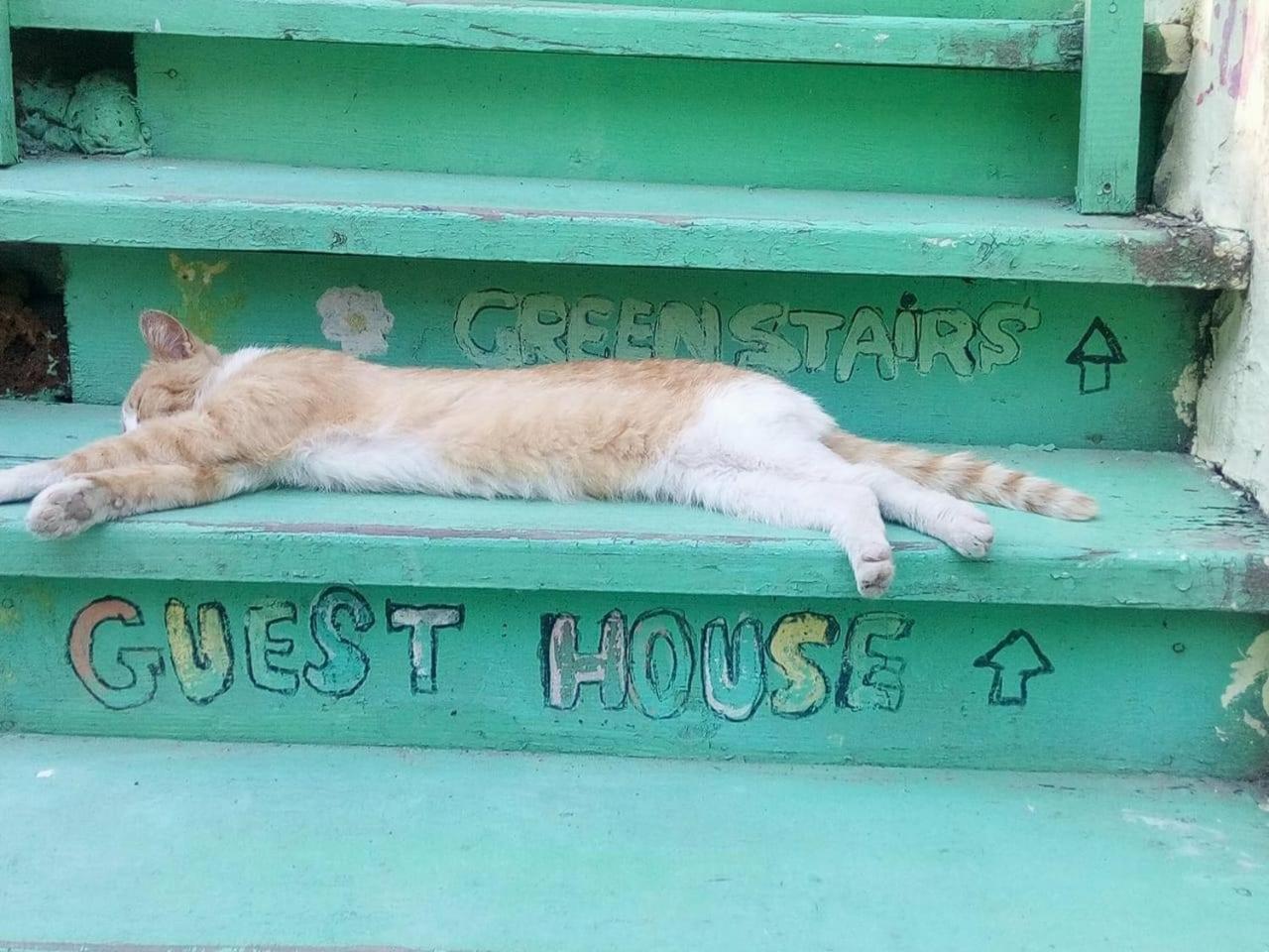 Green Stairs Guest House 트빌리시 외부 사진